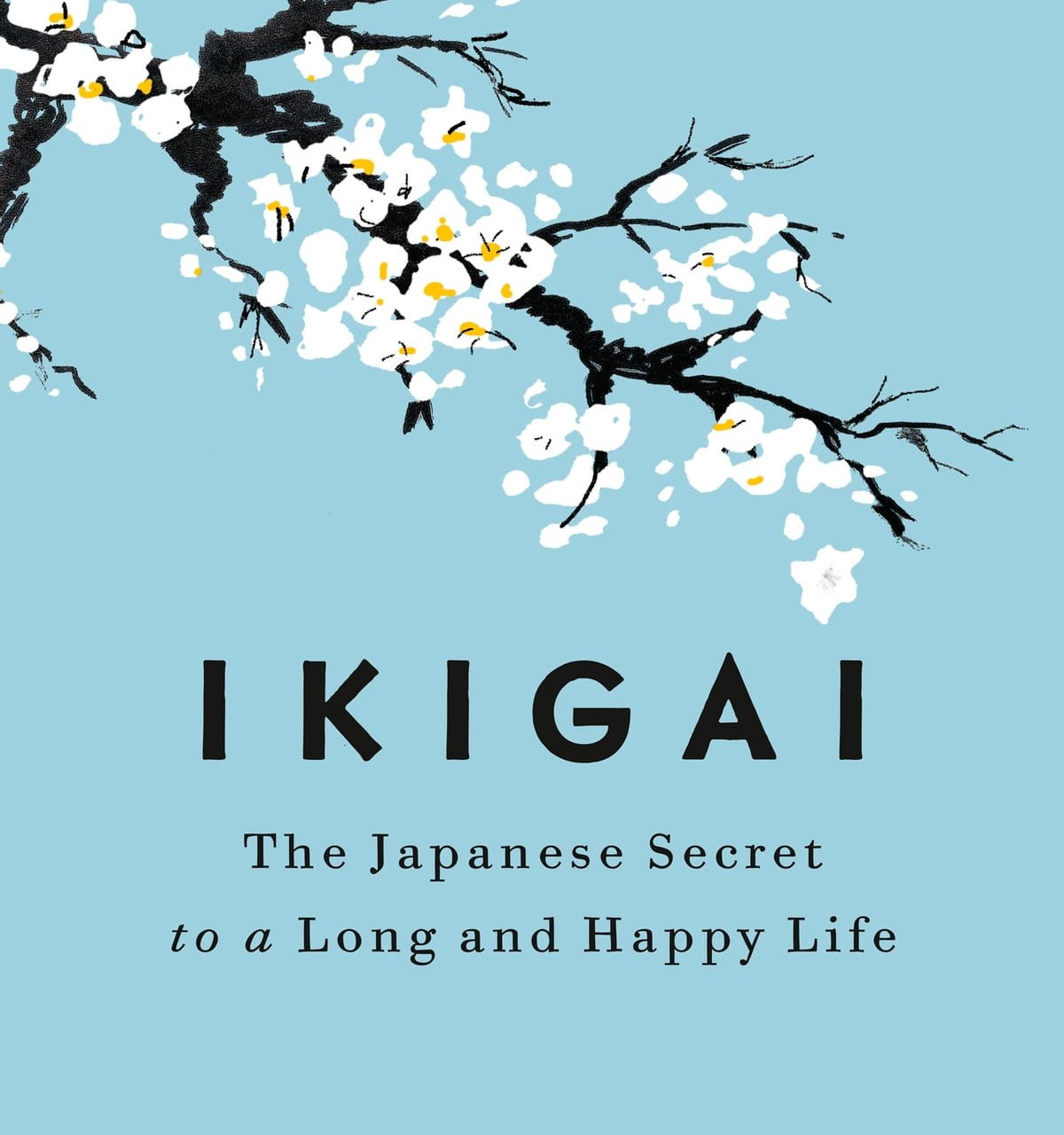 IKIGAI  Kitap Özeti